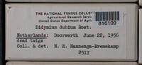 Image Associated With the Occurence
